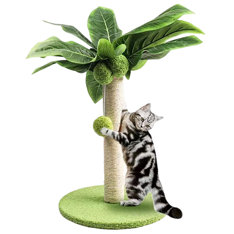 Pet Toys
