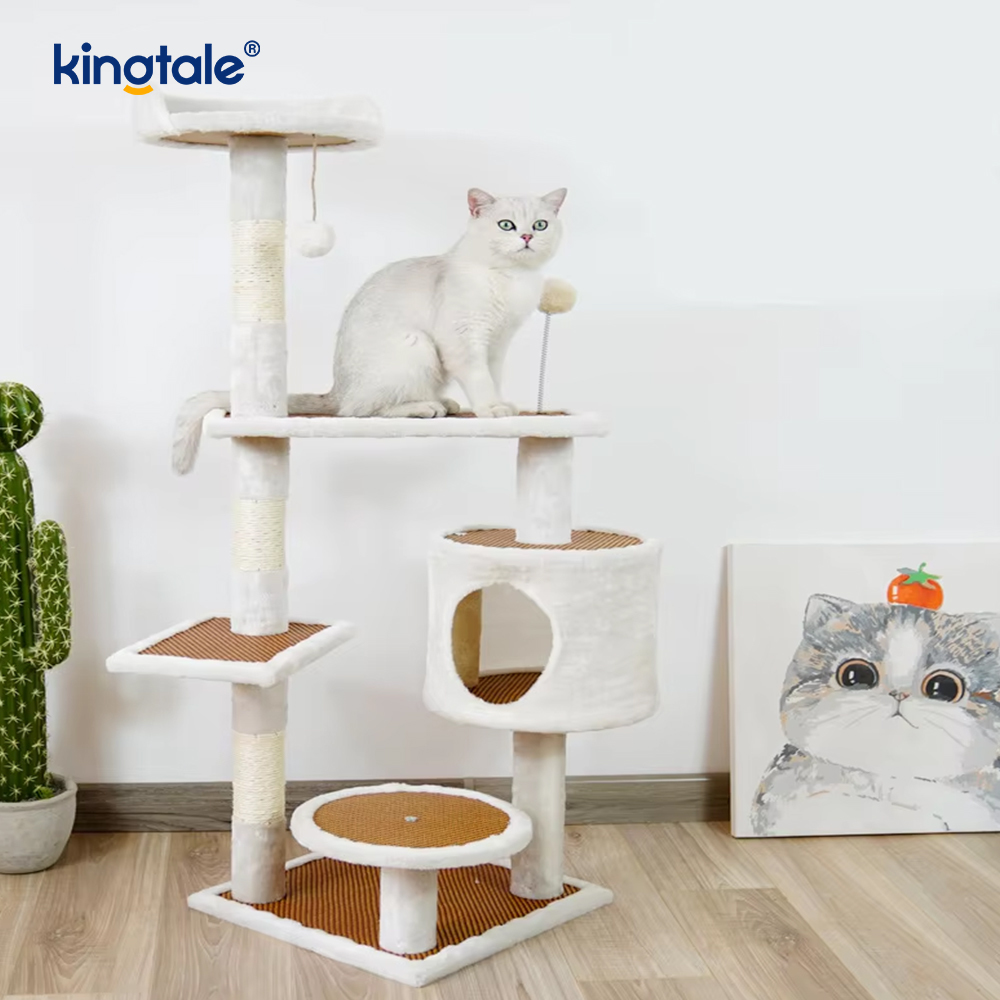 Cat turrim in umbraticis felis