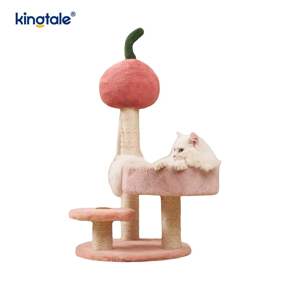 Scalpe Post apud lectum pro Indoor Small Kittens