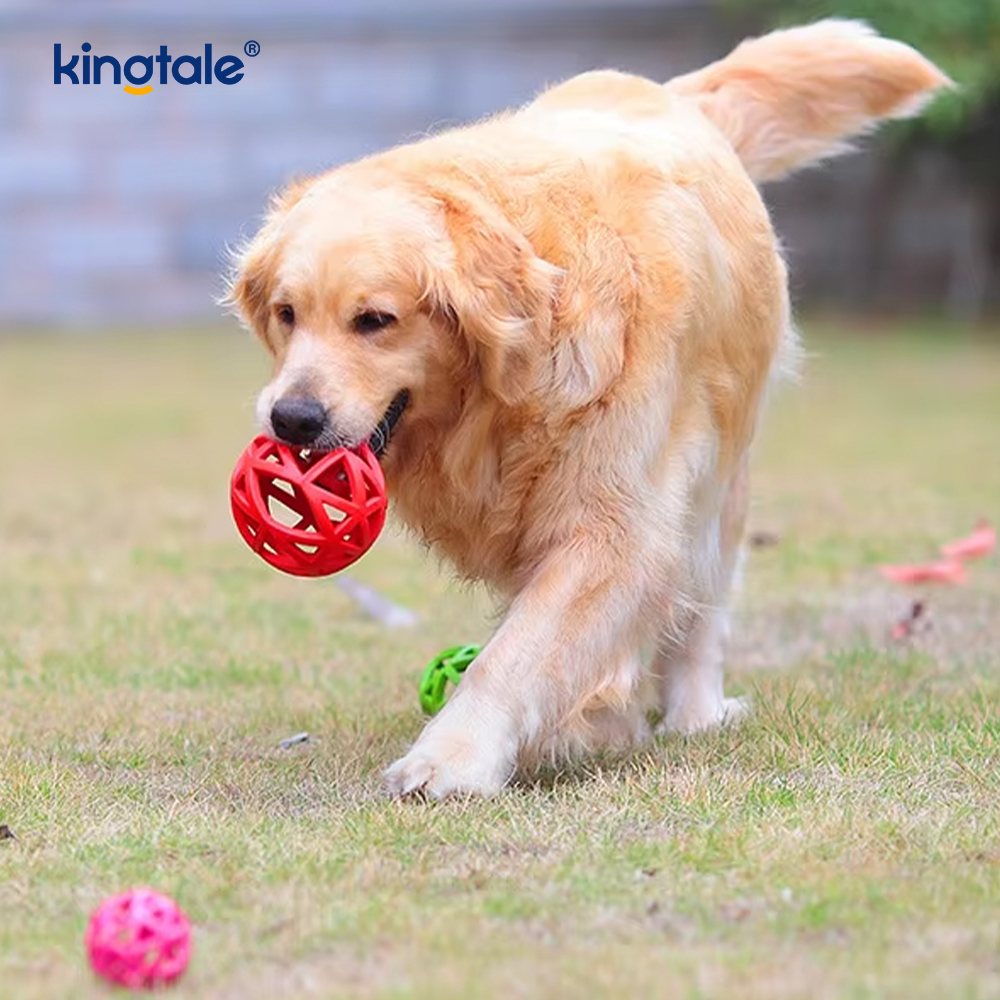 Pet cavum Flexilis Toy Ball
