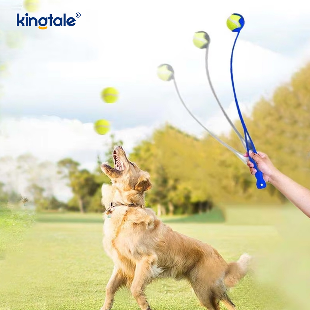 Pet Ball Launcher / Pet iacens Stick