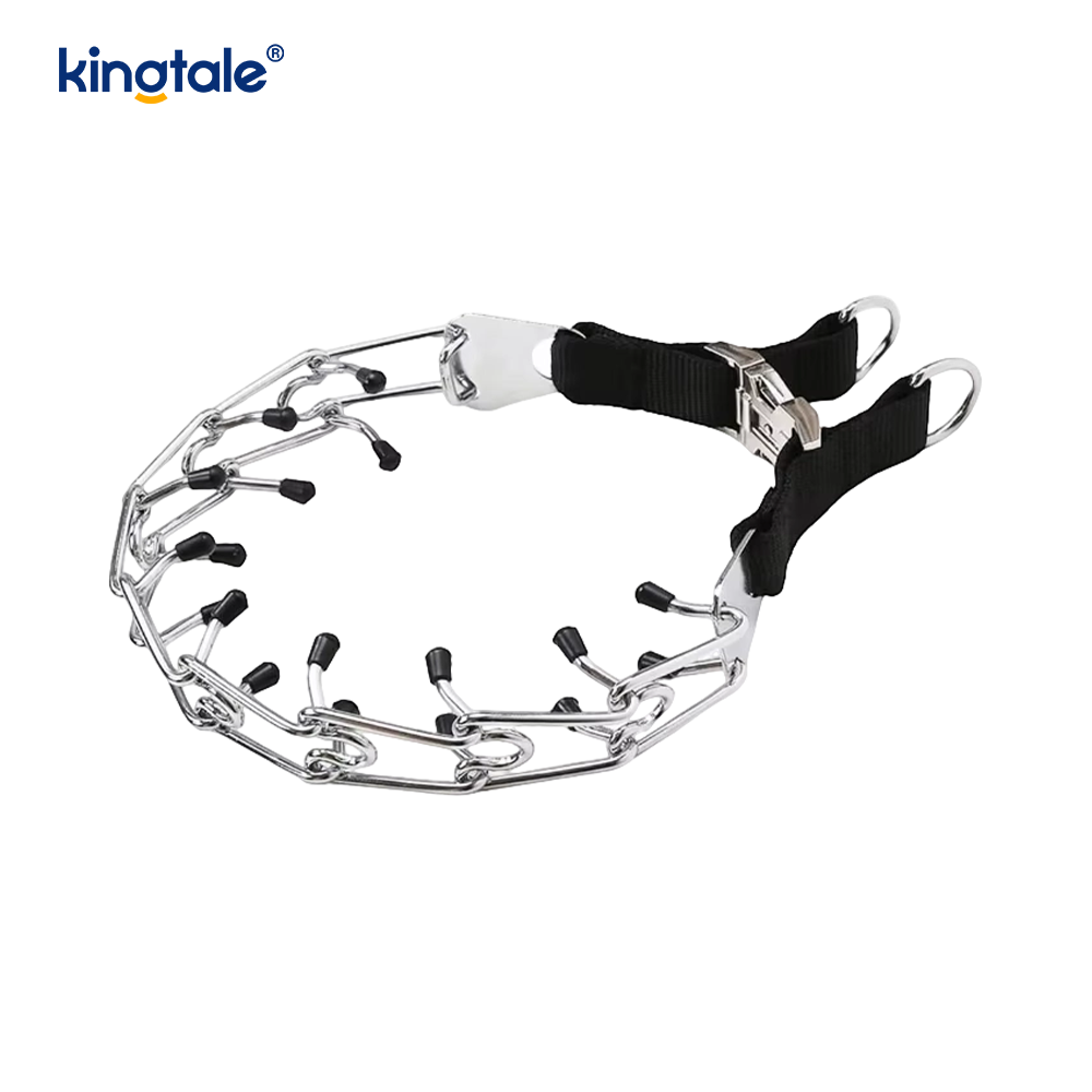 Canis Prong Collar cum Metal Fibula