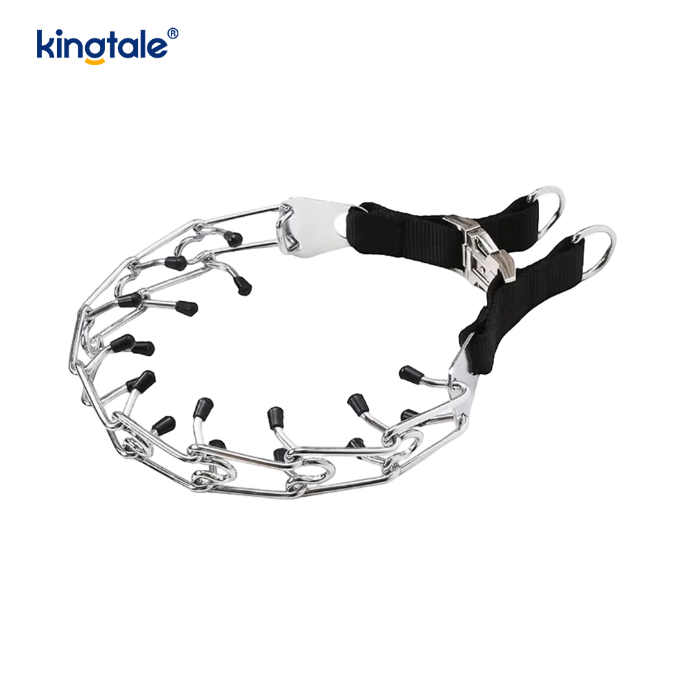Canis Prong Collar cum Metal Fibula
