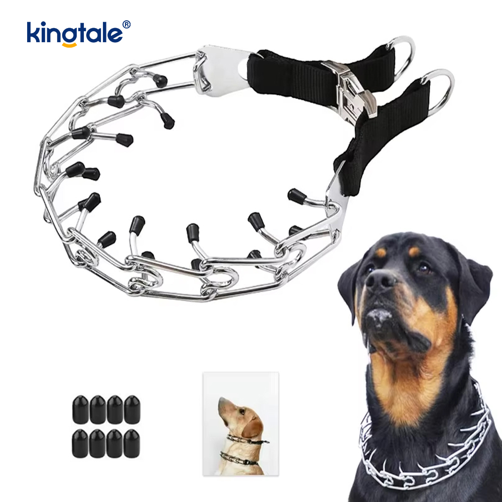 Canis Prong Collar cum Metal Fibula