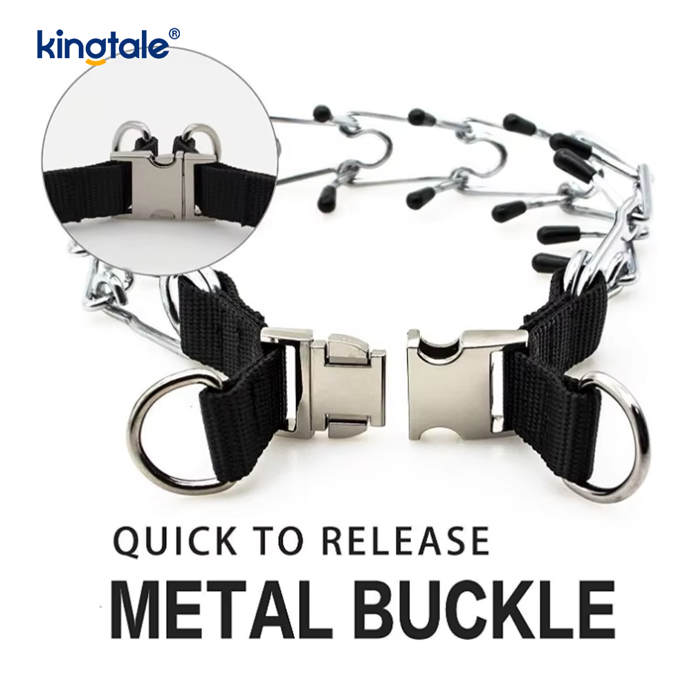 Canis Prong Collar cum Metal Fibula