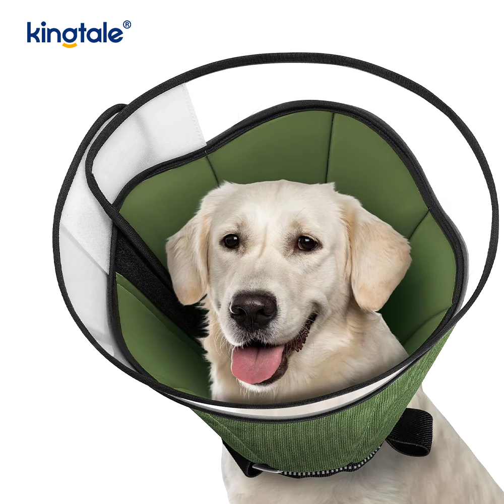 Mollis canis Cone pro canibus post Surgery