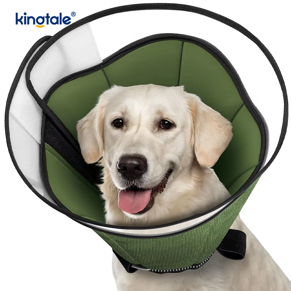 Mollis canis Cone pro canibus post Surgery