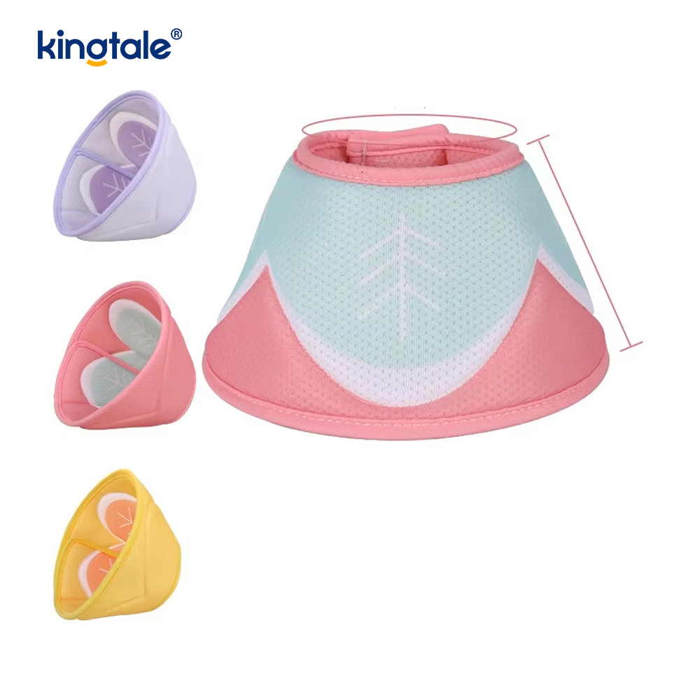 Canis Cone Collar post Surgery