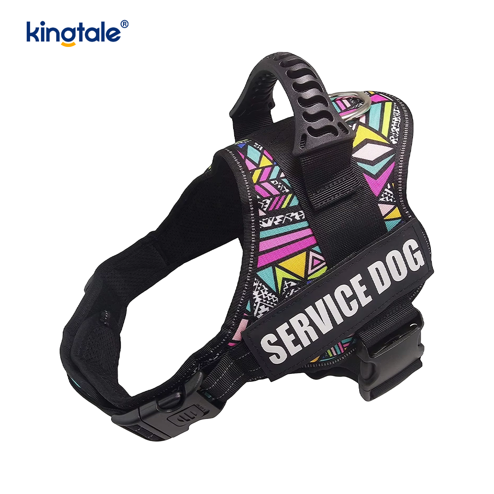 Reflective Gravis Officium Dog Iunge