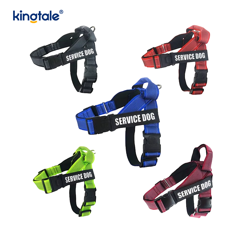 Harness militum