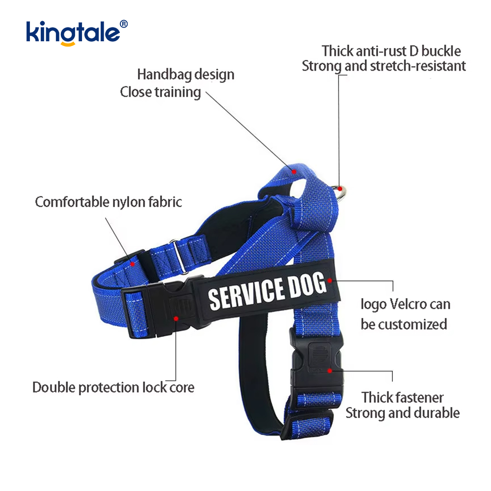 Harness militum
