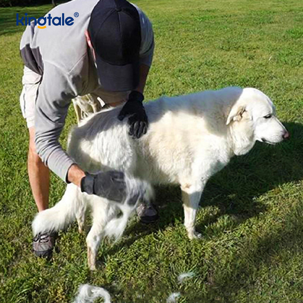 Pet Hair Aufero Glove Benigna Pet Grooming Glove Peniculus Dededding Glove