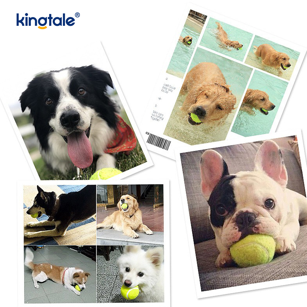 Pet Toy Tennis Dura et morsu repugnans pro Pet Chew Exercise Interactive