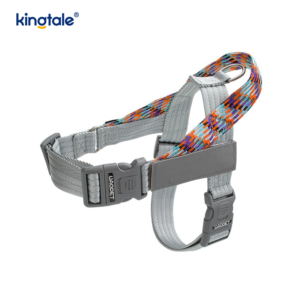 Developed Braid Nylon Webbing Highlight Reflective Dog Iunge