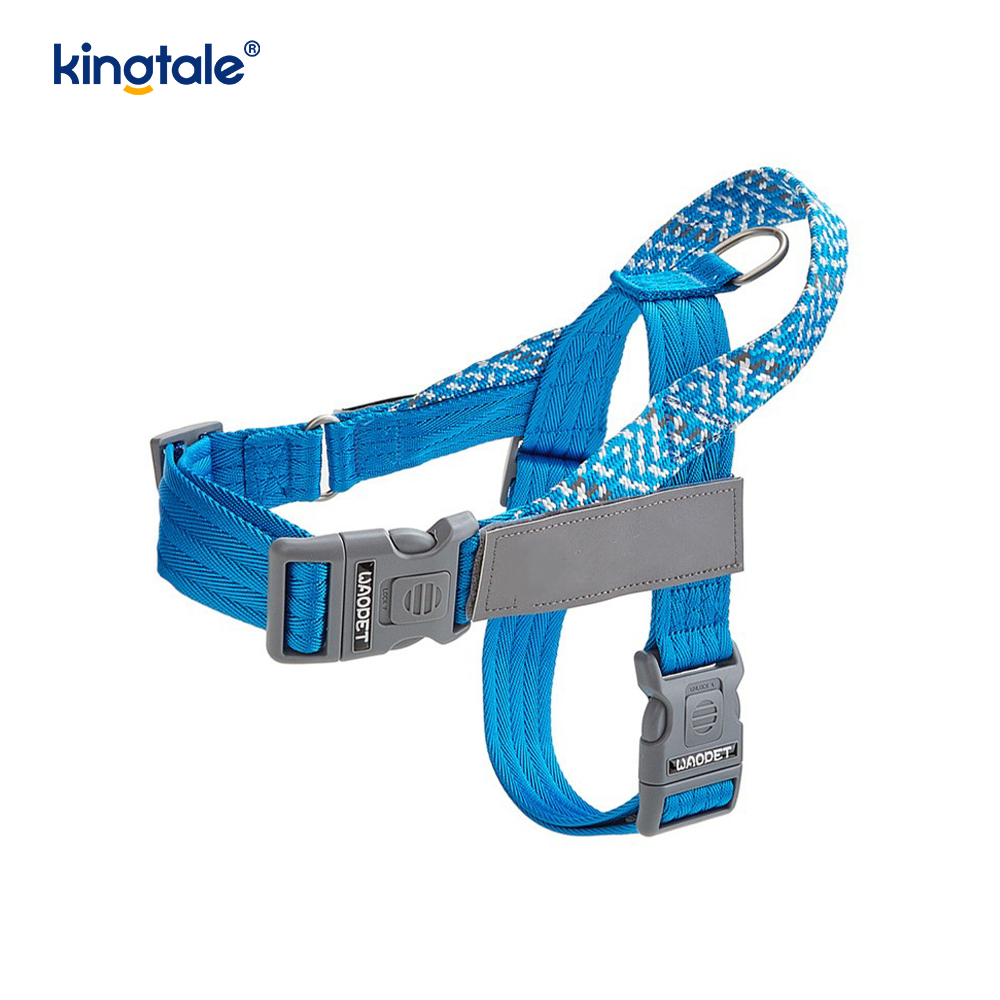 Developed Braid Nylon Webbing Highlight Reflective Dog Iunge
