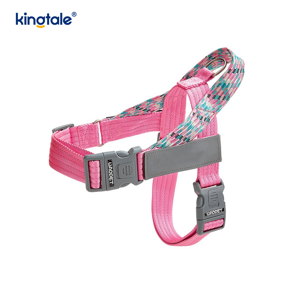 Developed Braid Nylon Webbing Highlight Reflective Dog Iunge