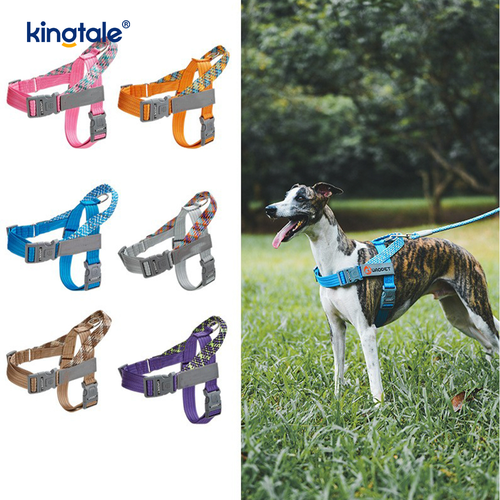 Developed Braid Nylon Webbing Highlight Reflective Dog Iunge