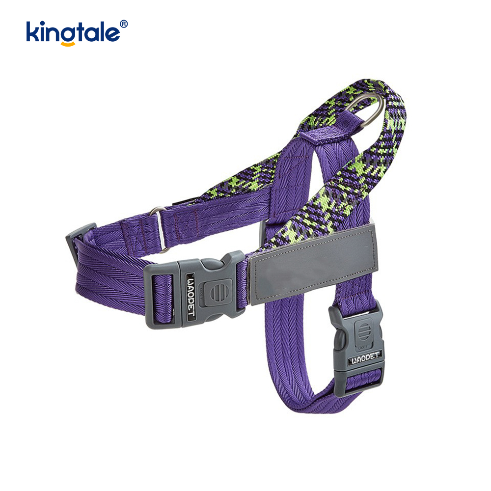 Developed Braid Nylon Webbing Highlight Reflective Dog Iunge