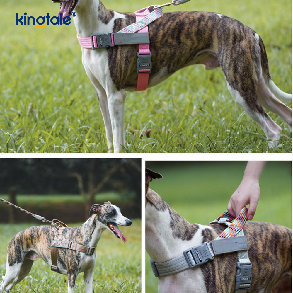 Developed Braid Nylon Webbing Highlight Reflective Dog Iunge