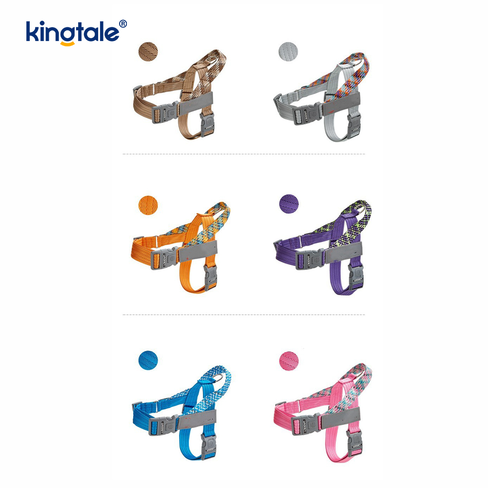 Developed Braid Nylon Webbing Highlight Reflective Dog Iunge