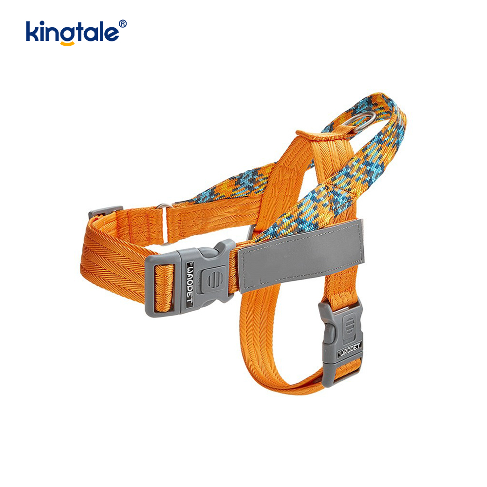 Developed Braid Nylon Webbing Highlight Reflective Dog Iunge