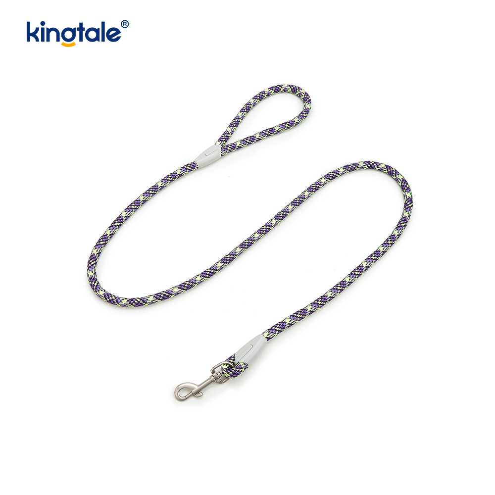 Developed Braid Nylon Webbing Highlight Reflective Dog Iunge