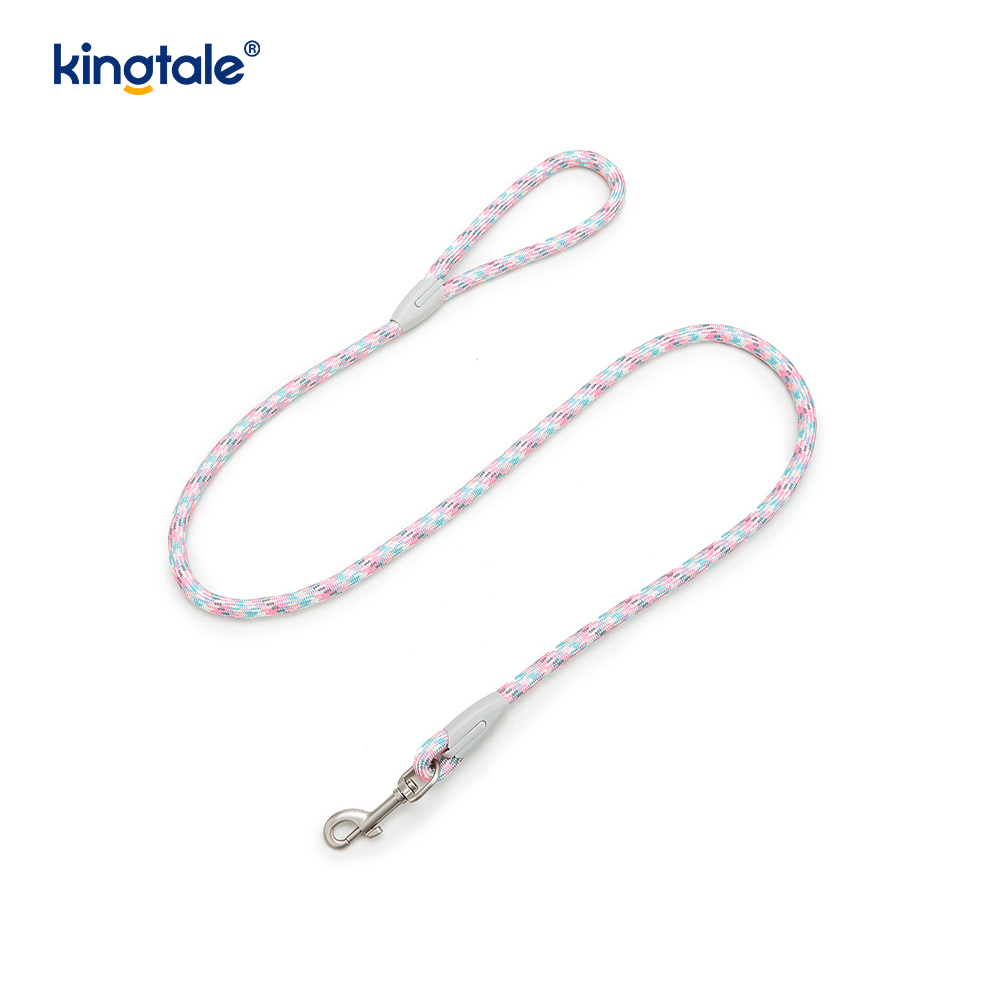 Developed Braid Nylon Webbing Highlight Reflective Dog Iunge