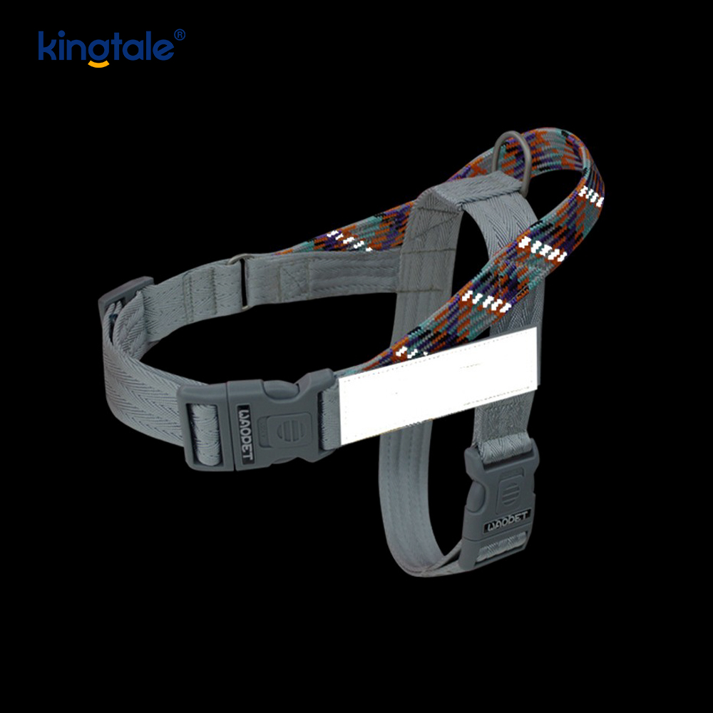 Developed Braid Nylon Webbing Highlight Reflective Dog Iunge