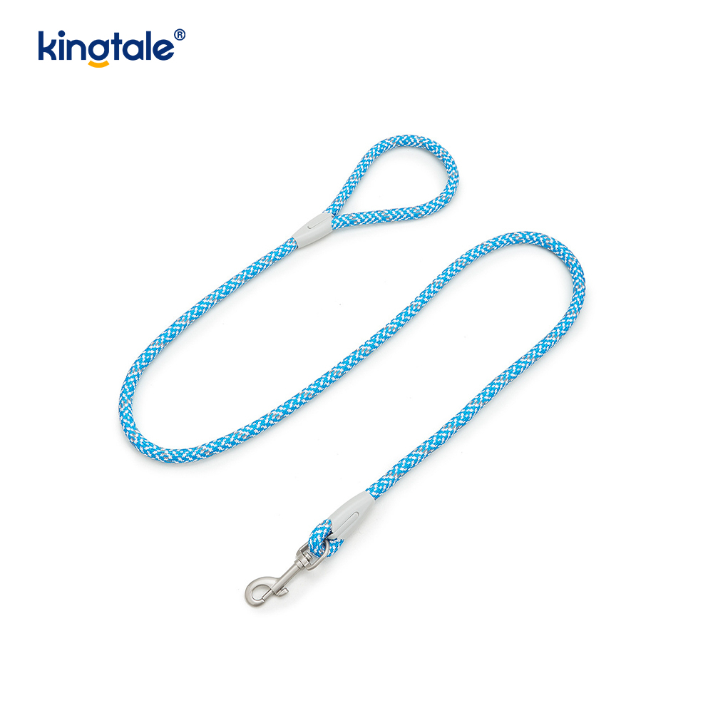 Developed Braid Nylon Webbing Highlight Reflective Dog Iunge