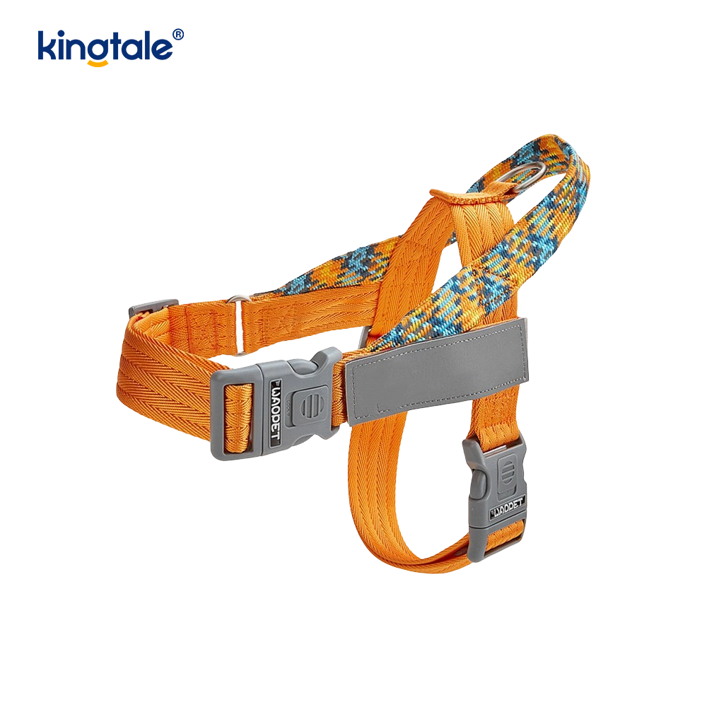 Developed Braid Nylon Webbing Highlight Reflective Dog Iunge
