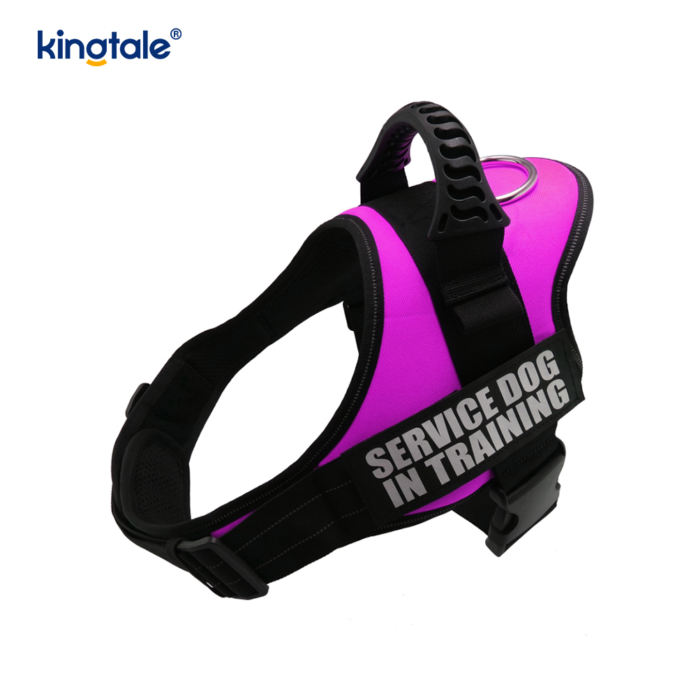 Non excute Reflective Intentio Canem Iunge Solidum Nylon Funem Dog Leash