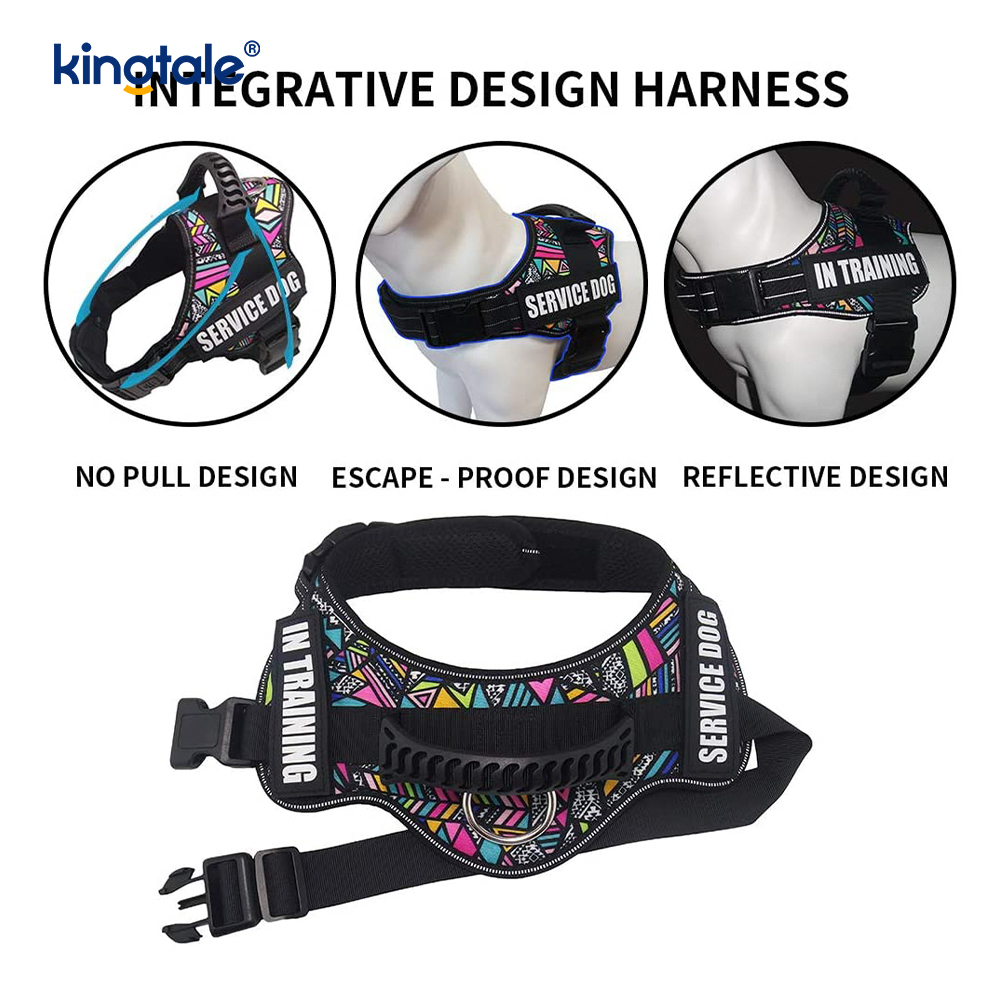 Non excute Reflective Intentio Canem Iunge Solidum Nylon Funem Dog Leash