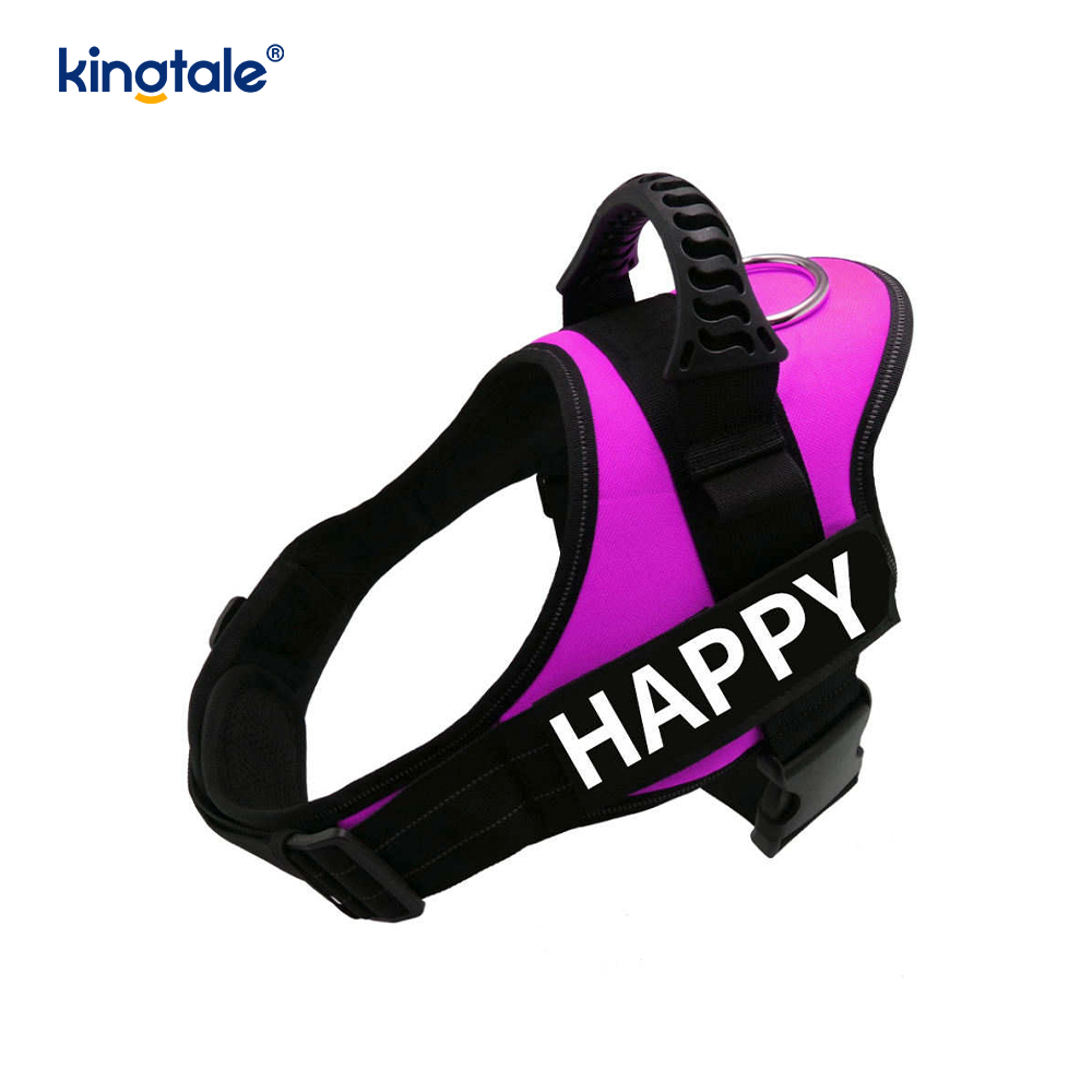 Non excute Reflective Intentio Canem Iunge Solidum Nylon Funem Dog Leash