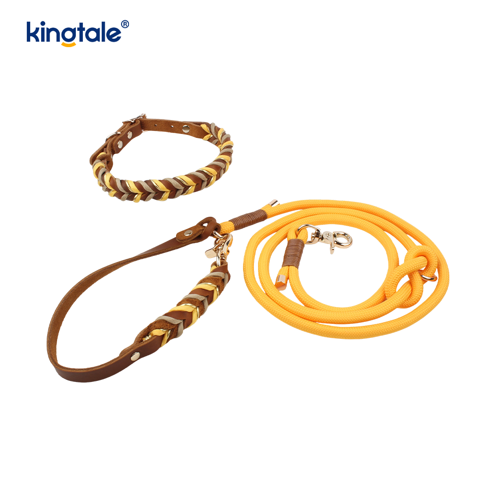 Funis cervicis & Leash Set
