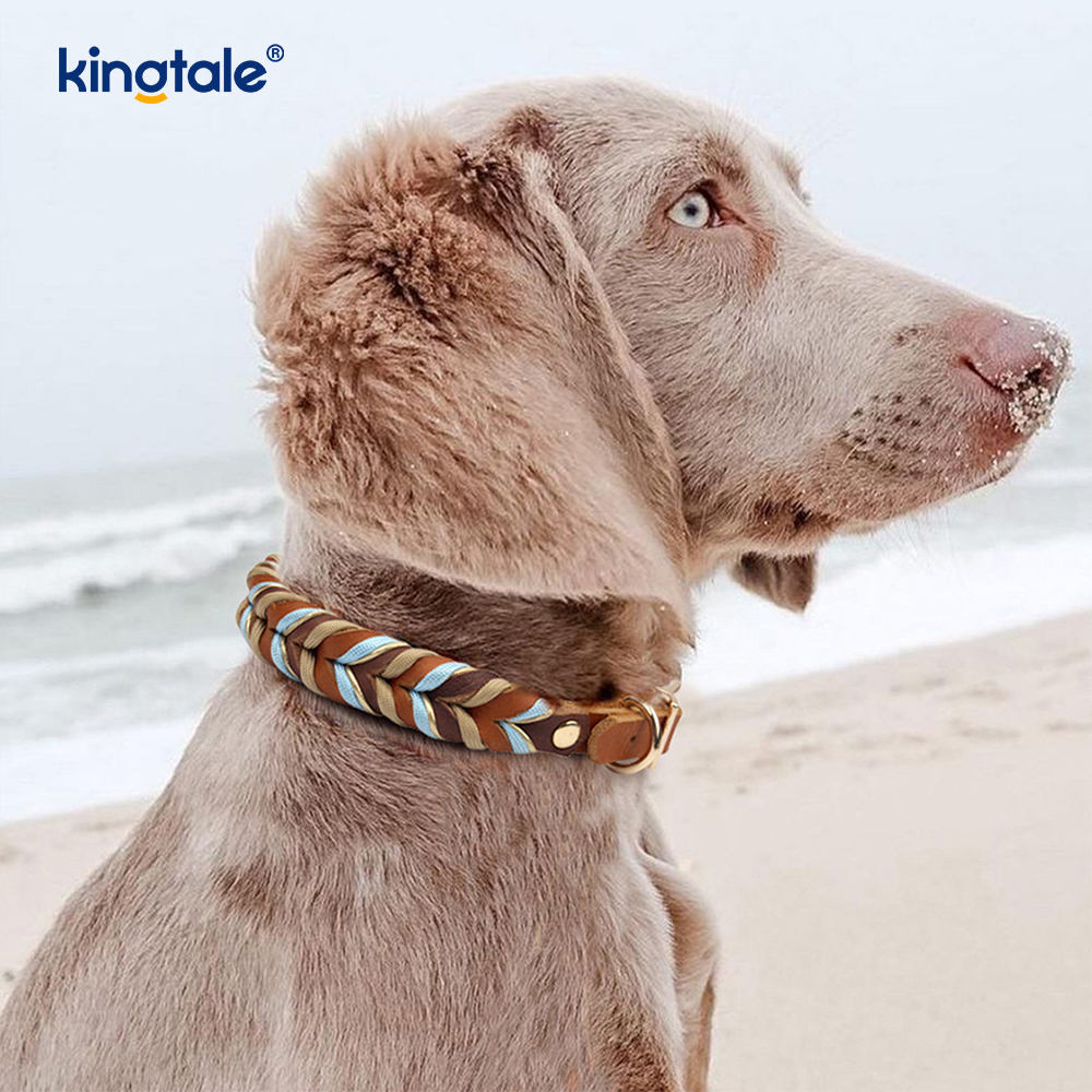 Funis cervicis & Leash Set