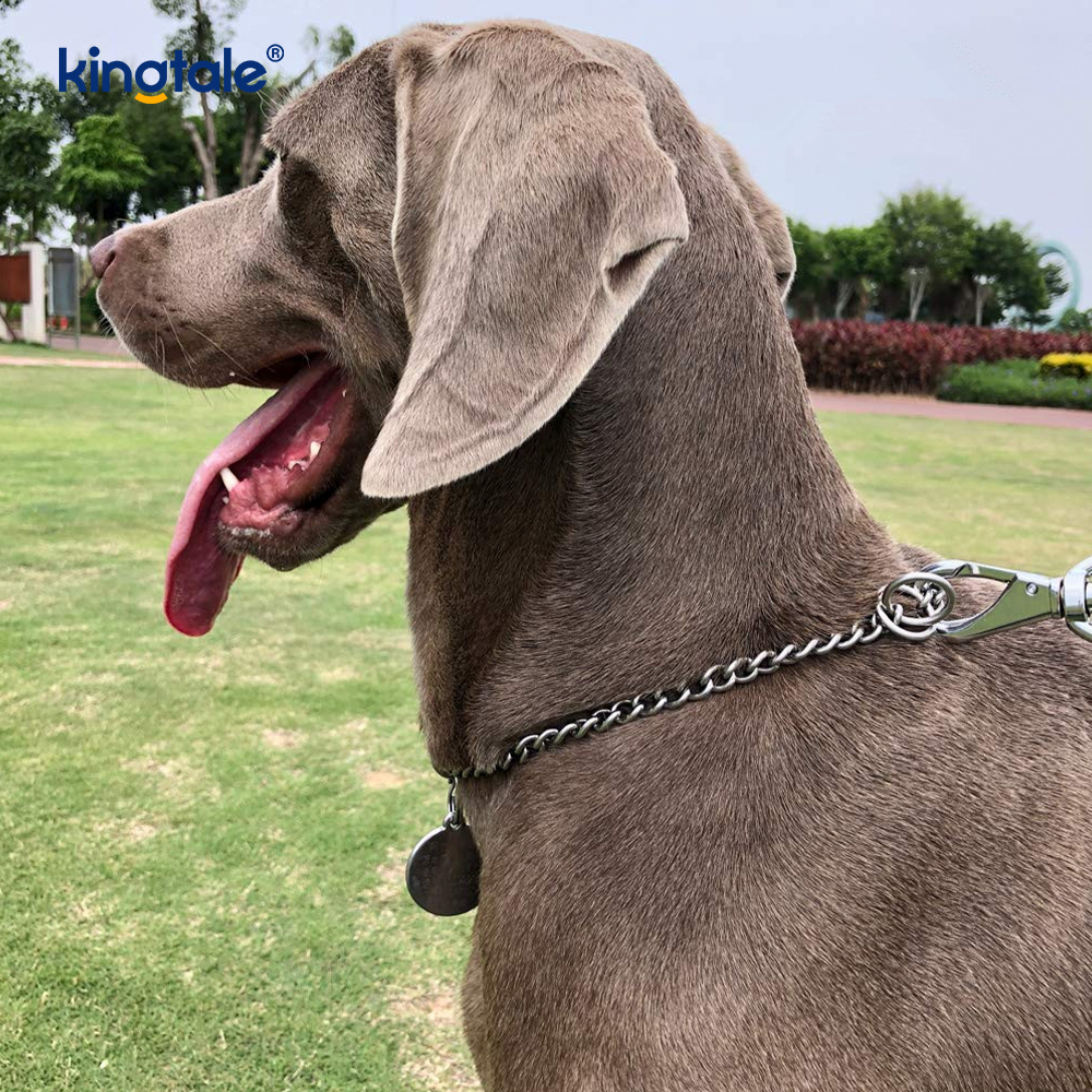 Metal Training Dog Choke Collar Slip P Chain Gravis Chain For Dogs