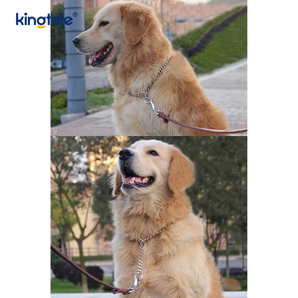 Metal Training Dog Choke Collar Slip P Chain Gravis Chain For Dogs