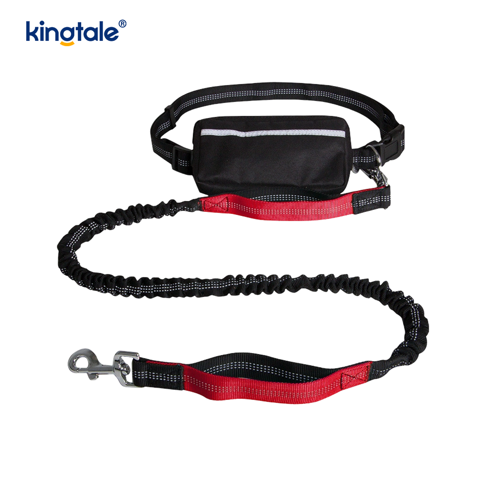 Reflective elastica duplex Cursor Pet Leash Cum Zipper Marsupium