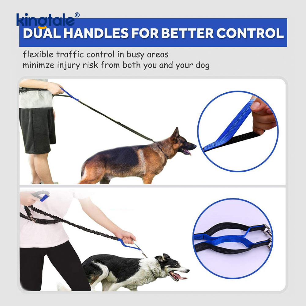 Reflective elastica duplex Cursor Pet Leash Cum Zipper Marsupium