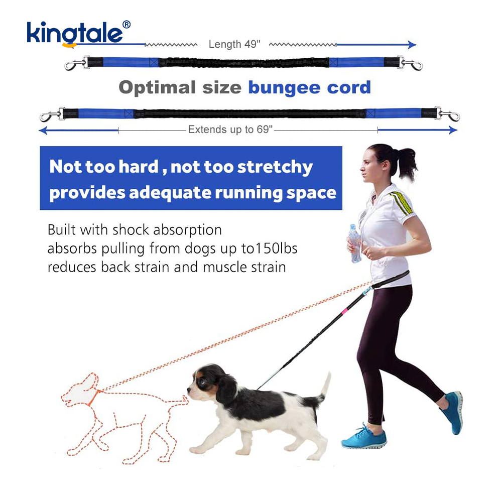 Reflective elastica duplex Cursor Pet Leash Cum Zipper Marsupium