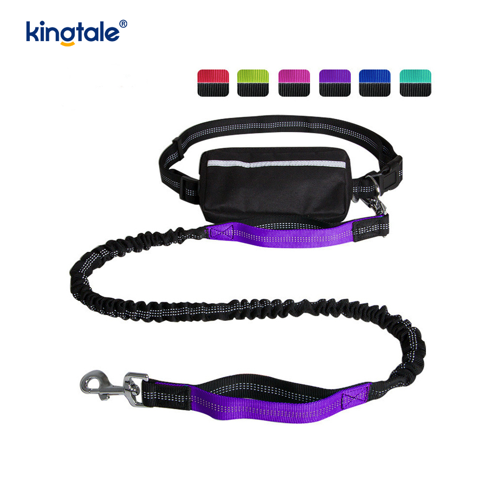 Reflective elastica duplex Cursor Pet Leash Cum Zipper Marsupium