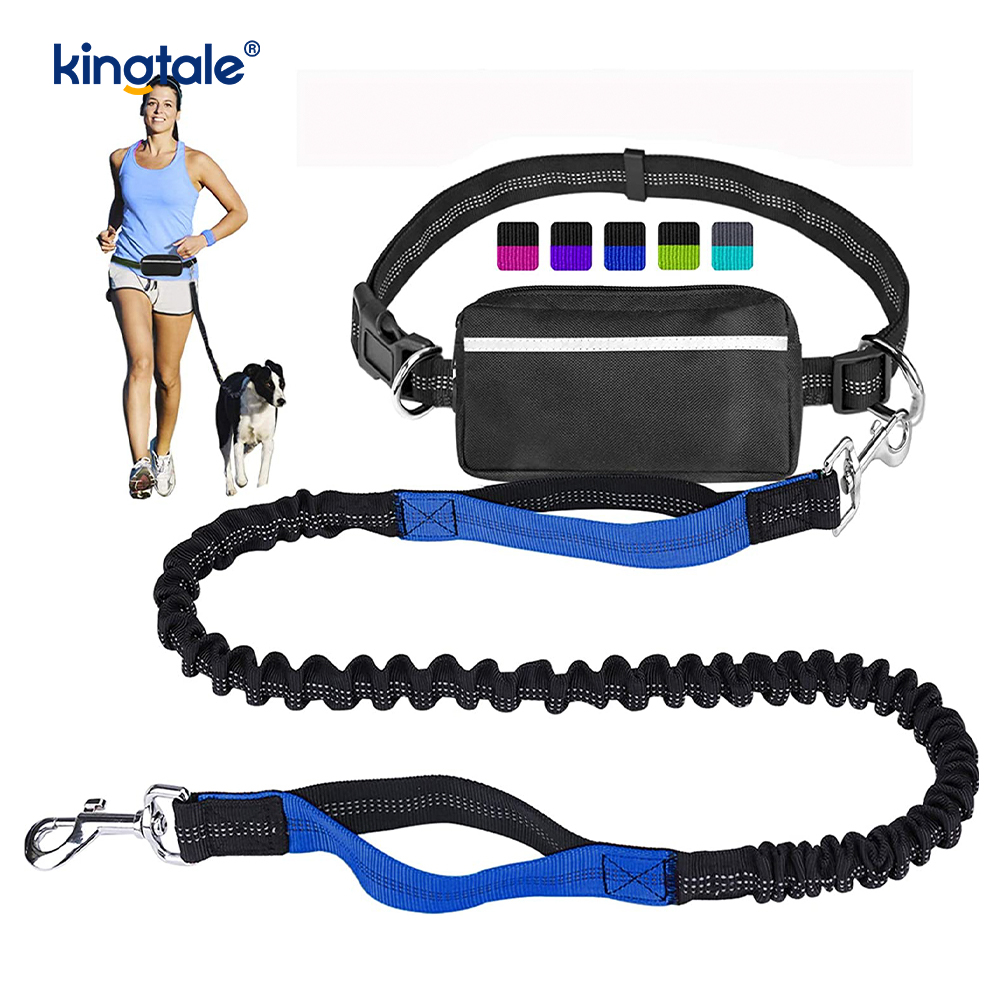 Reflective elastica duplex Cursor Pet Leash Cum Zipper Marsupium