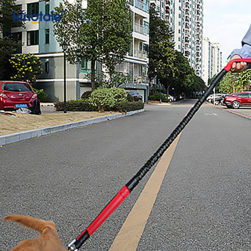 Reflective elastica duplex Cursor Pet Leash Cum Zipper Marsupium
