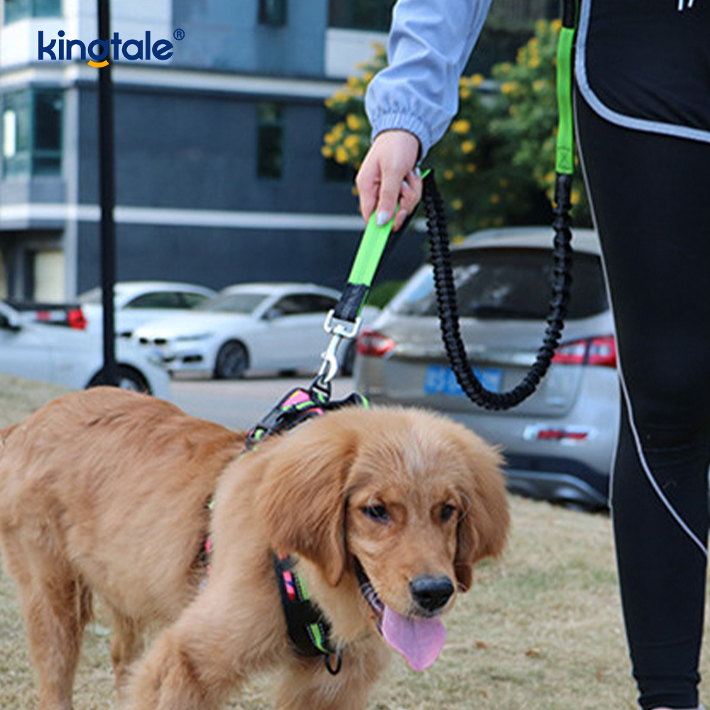 Reflective elastica duplex Cursor Pet Leash Cum Zipper Marsupium