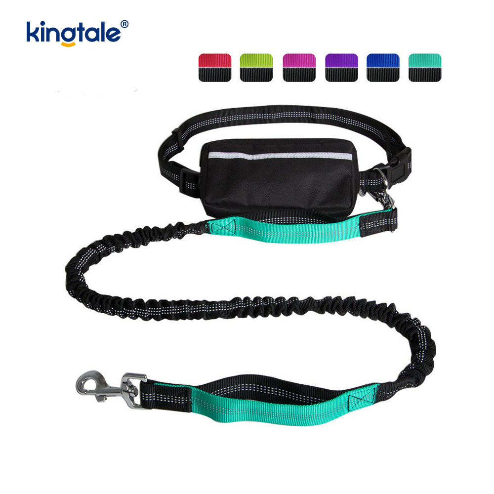 Reflective elastica duplex Cursor Pet Leash Cum Zipper Marsupium