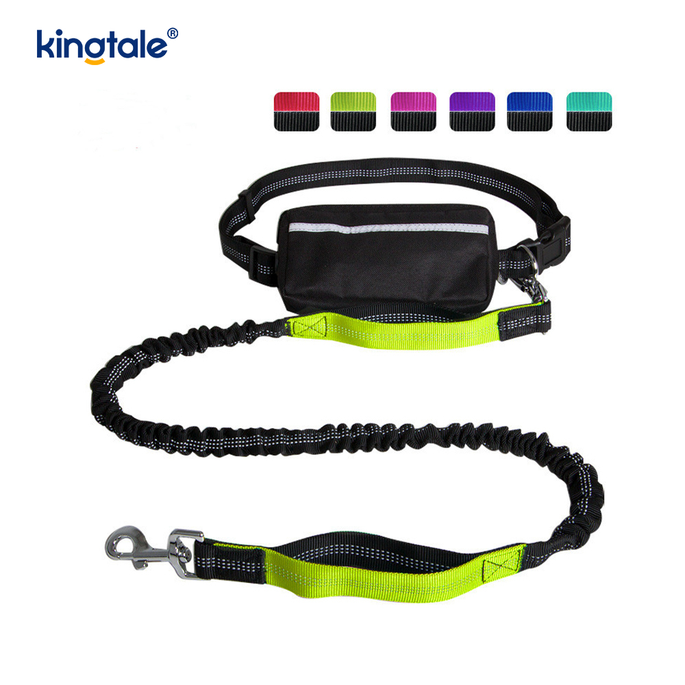 Reflective elastica duplex Cursor Pet Leash Cum Zipper Marsupium