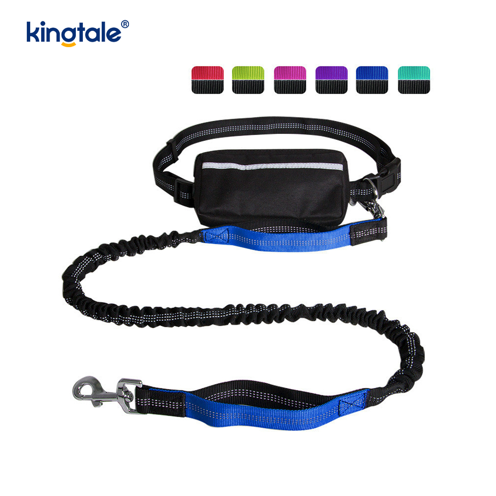 Reflective elastica duplex Cursor Pet Leash Cum Zipper Marsupium