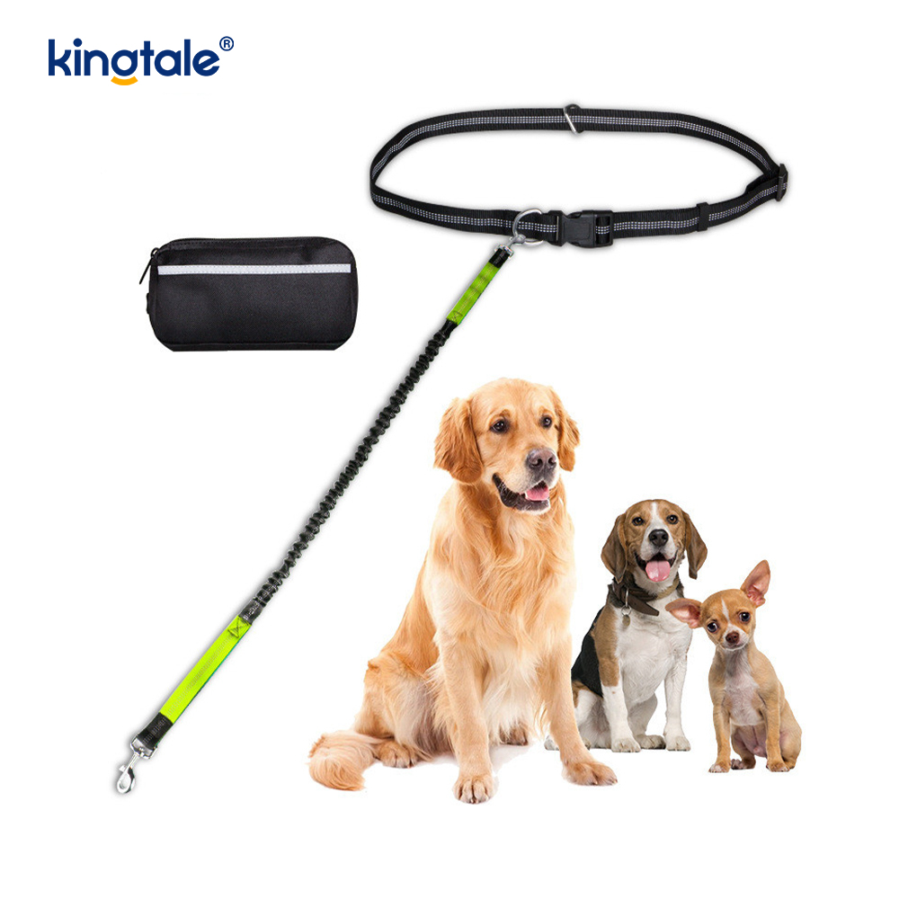 Reflective elastica duplex Cursor Pet Leash Cum Zipper Marsupium