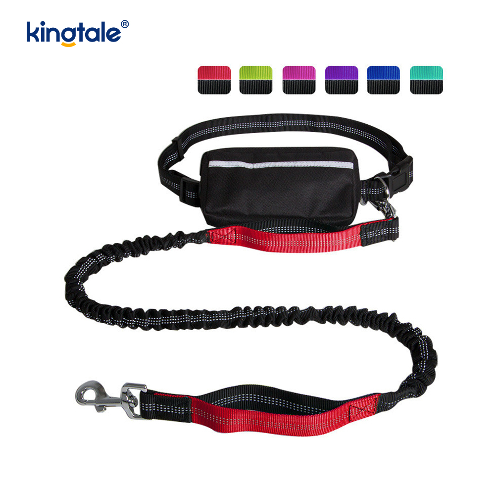 Reflective elastica duplex Cursor Pet Leash Cum Zipper Marsupium