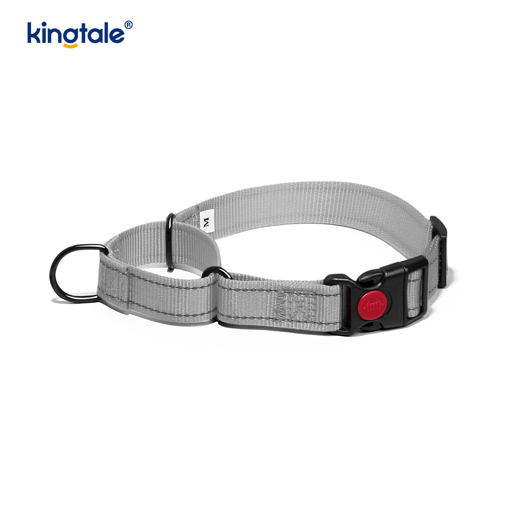 No Pull Reflective Novifacta Nylon Martingale Dog Collar For S M A L L Dogs